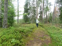 Naturstien ved herregården Tagel